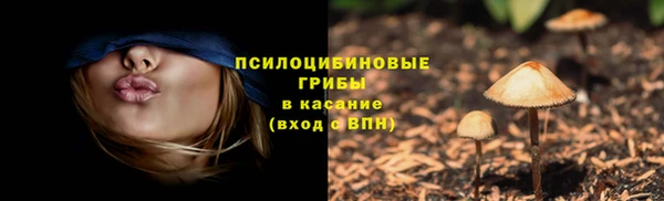 ешки Семилуки