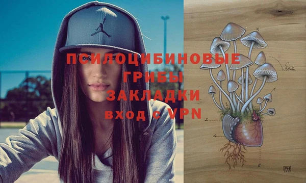 Альфа ПВП Нефтекумск