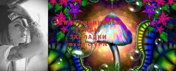 стаф Наволоки