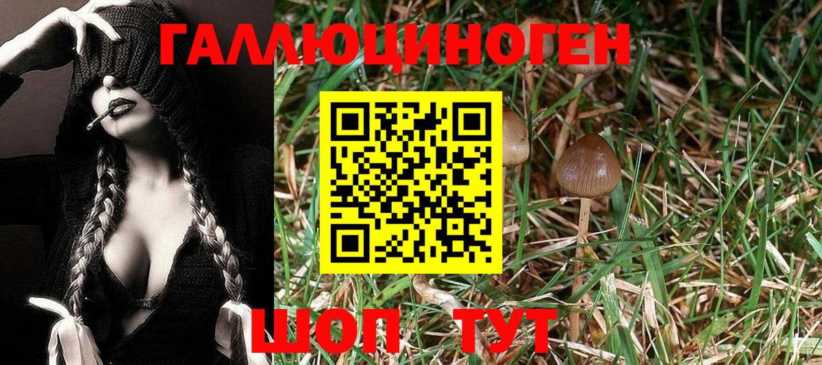 Карасук  Псилоцибиновые грибы Psilocybine cubensis  сколько стоит  Вход с VPN 