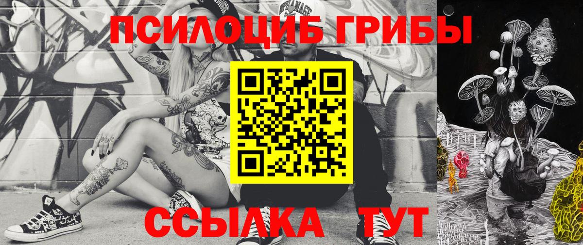 Галлюциногенные грибы Psilocybe Карасук